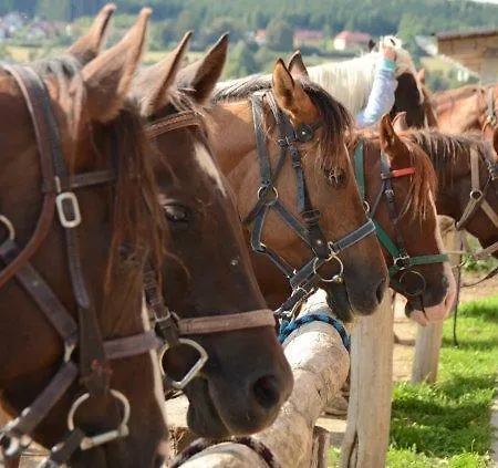 Penzion Q Ranch 3*
