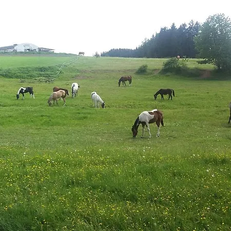 Q Ranch Bezdekov (Jihlava)