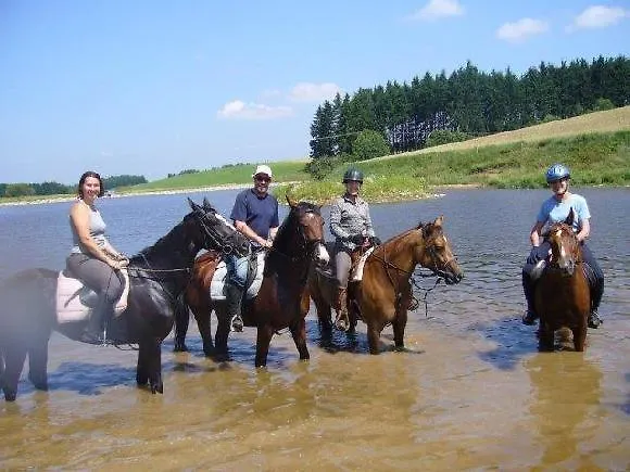 בית הארחה Q Ranch