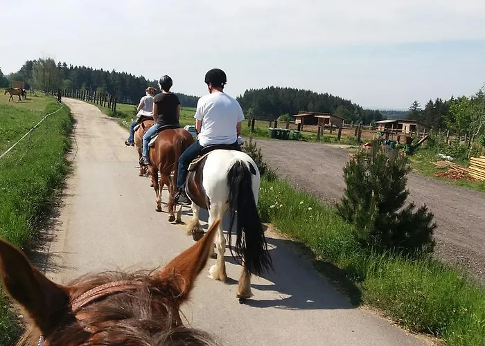 Q Ranch Bezdekov (Jihlava)