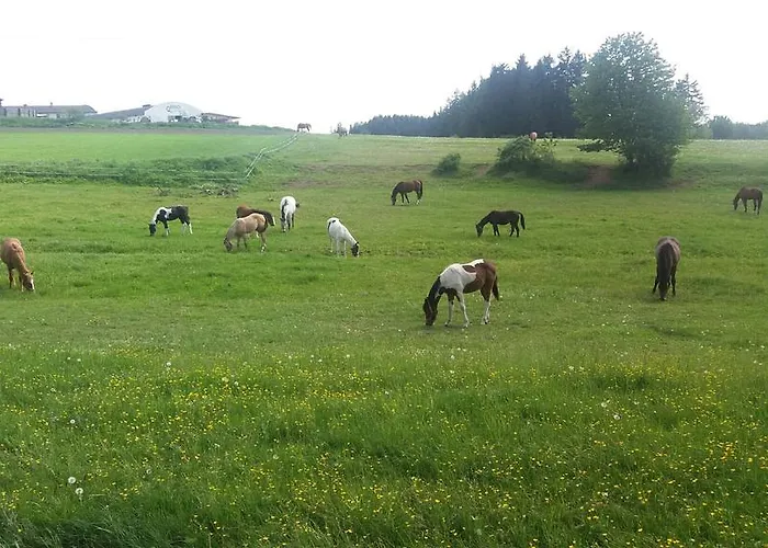 Q Ranch Bezdekov (Jihlava)